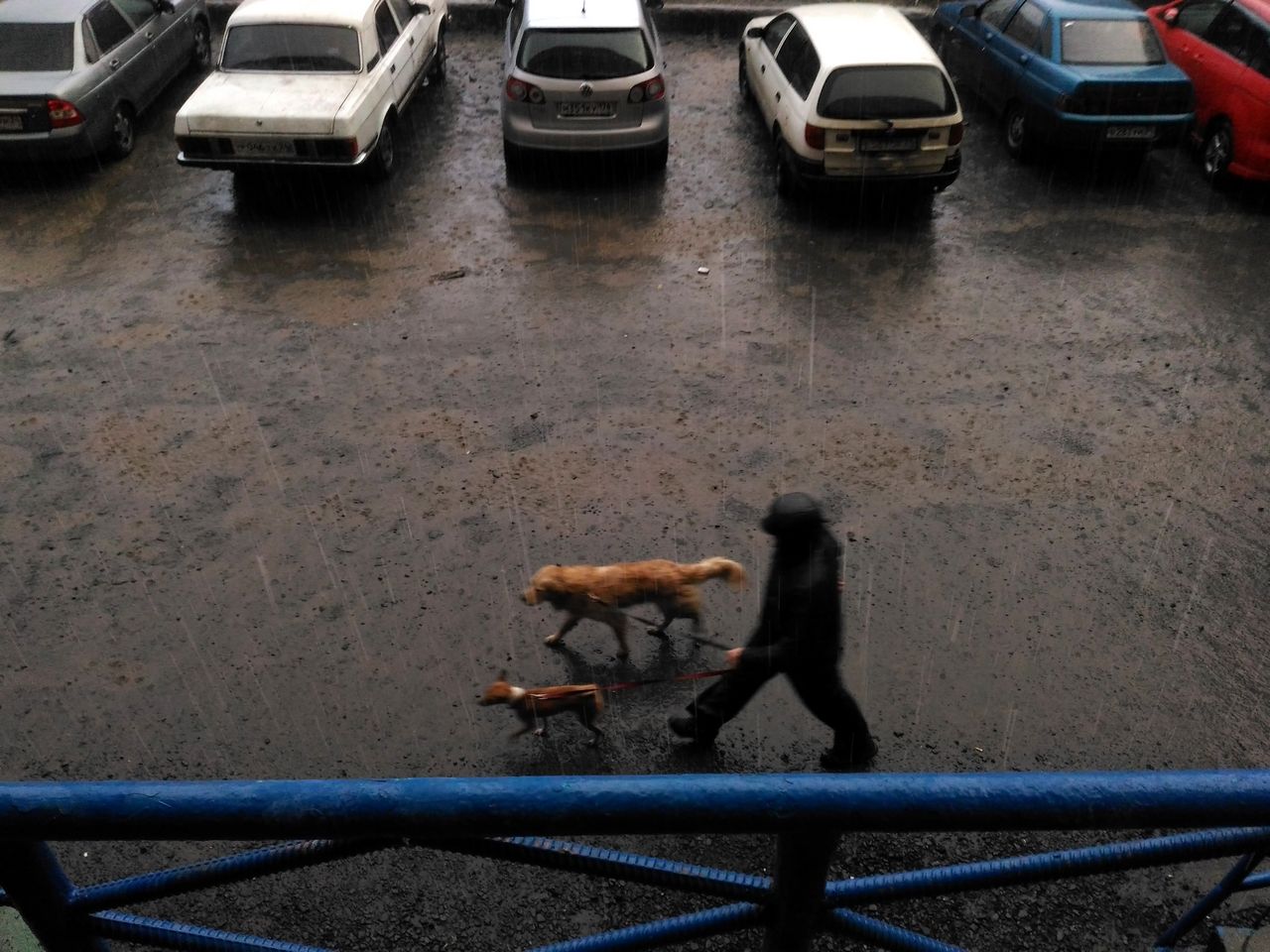 Urban Street Photography Norilsk