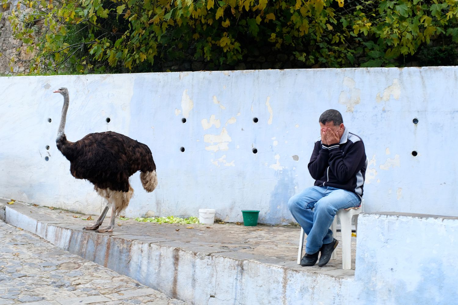 Street Photography Fabian Schreyer