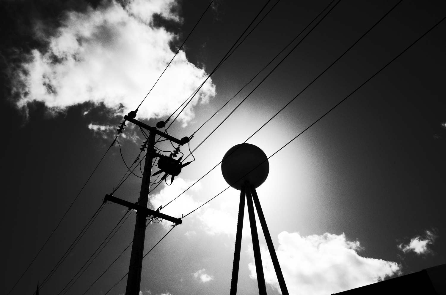 Urban Street Diving Deb Bonney Australia